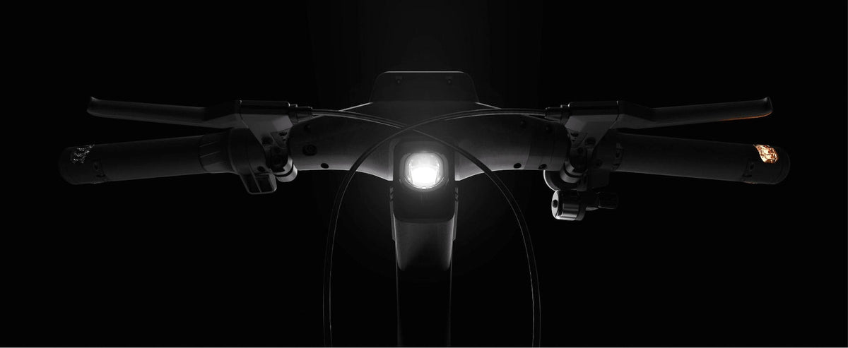 Segway Ninebot KickScooter ZT3 Pro D E-Scooter 20 km/h