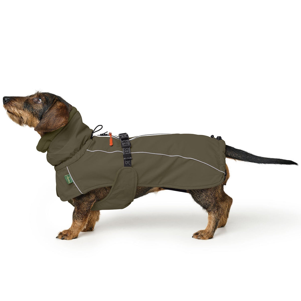 HUNTER Hundemantel Nordby Dackel Oliv